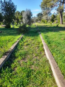 WhatsApp Image 2022-03-17 at 21.22.28