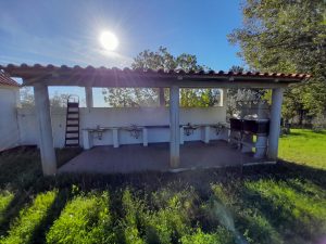 WhatsApp Image 2022-03-17 at 21.22.49