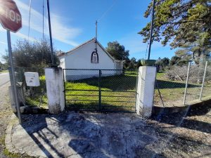 WhatsApp Image 2022-03-17 at 21.23.08